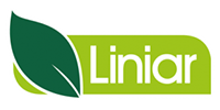 liniar